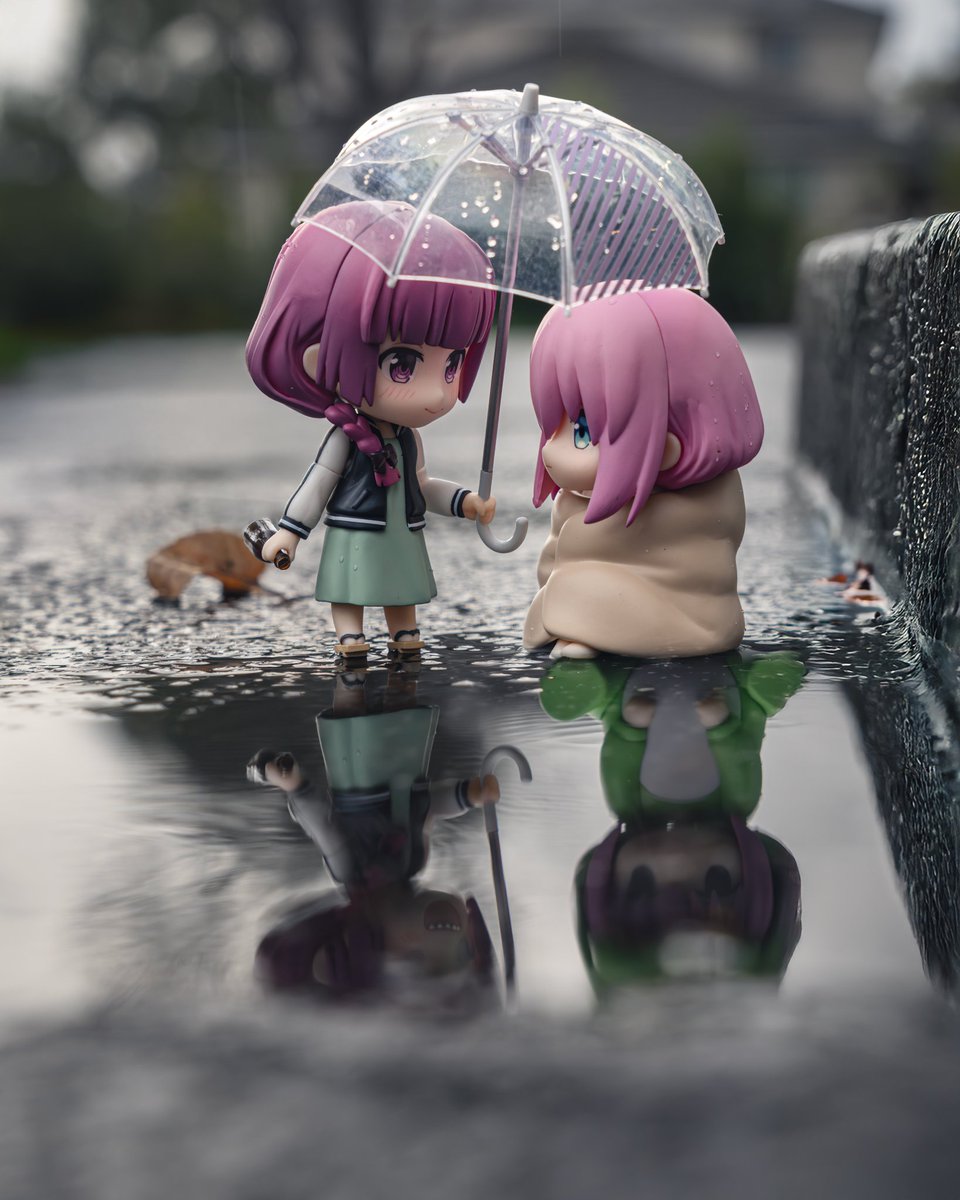 陶格曼 tweet media