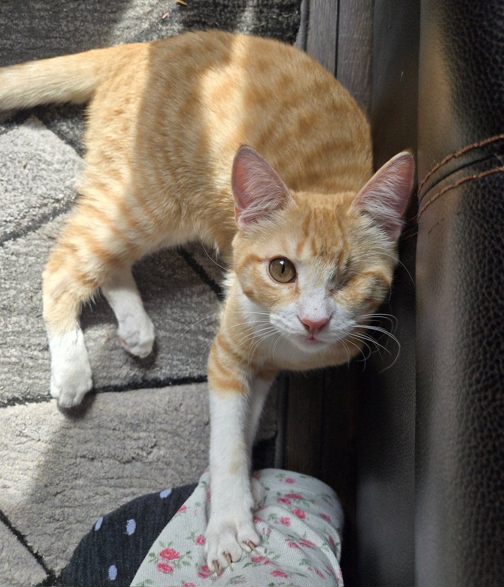 krista🦥 tweet media