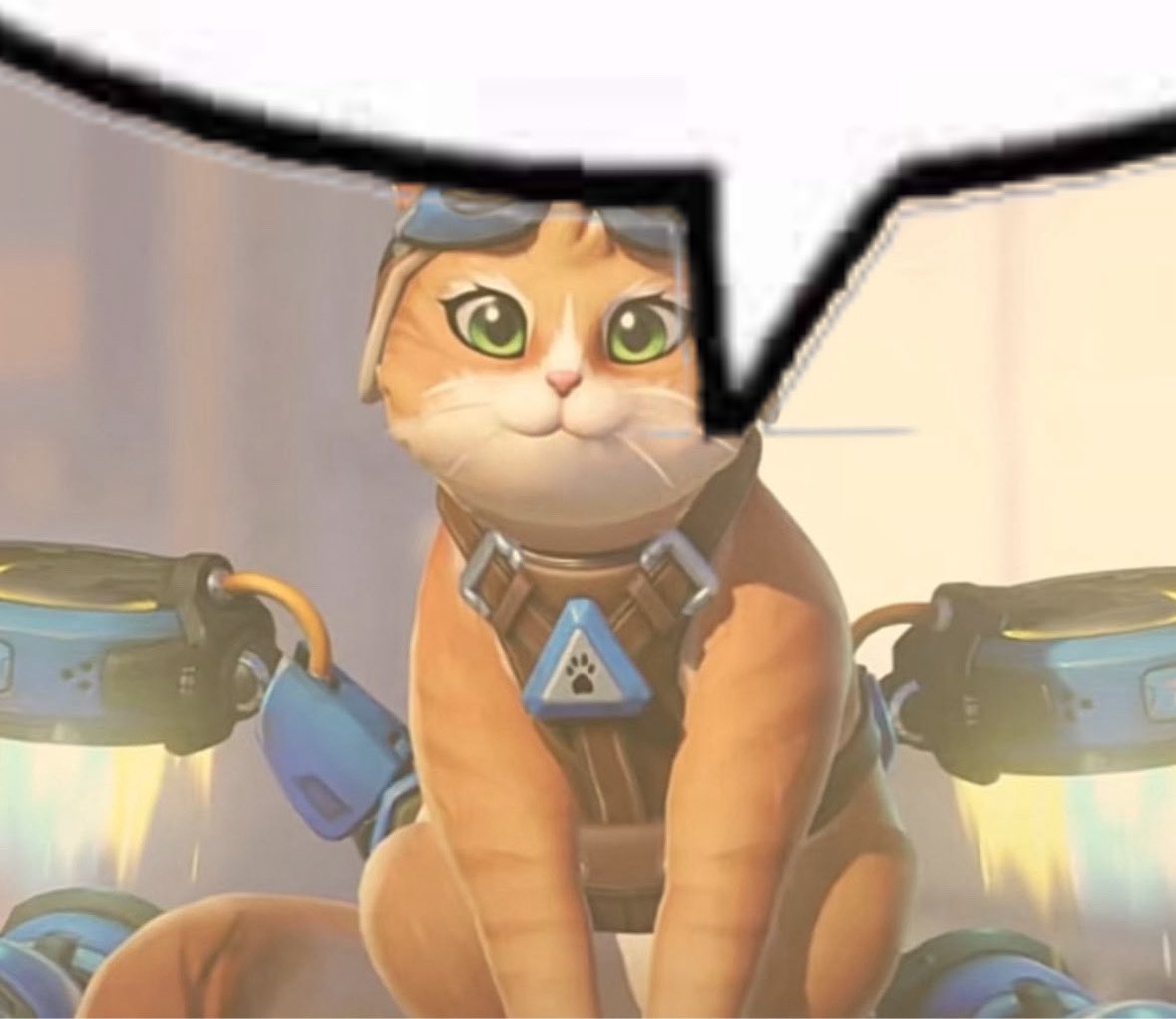 dvapawz's tweet image. meow meow meow fag meow meow meow