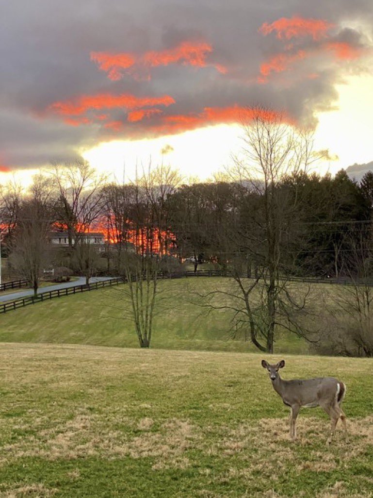 Hi folks. Someone sent me an Amazon Gift Card. I haven’t the slightest clue who did it so I’m going to say thank you here. It means a lot to me.