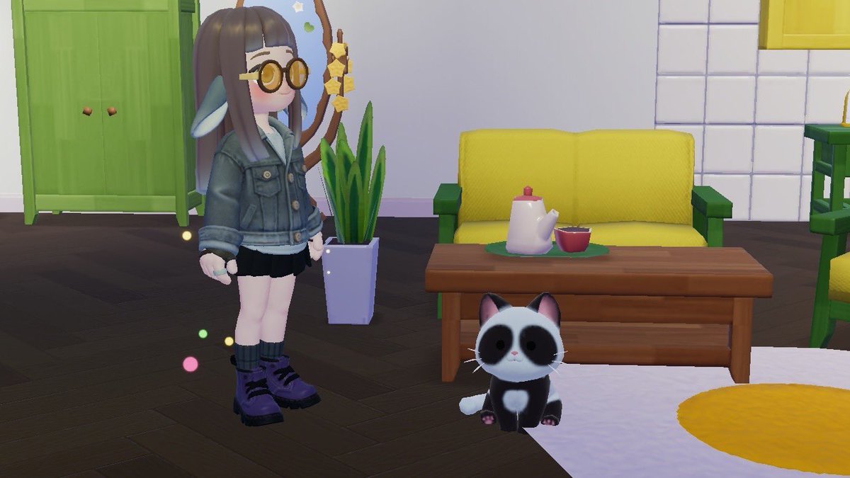 パンダ猫、ちょっと可愛すぎるか