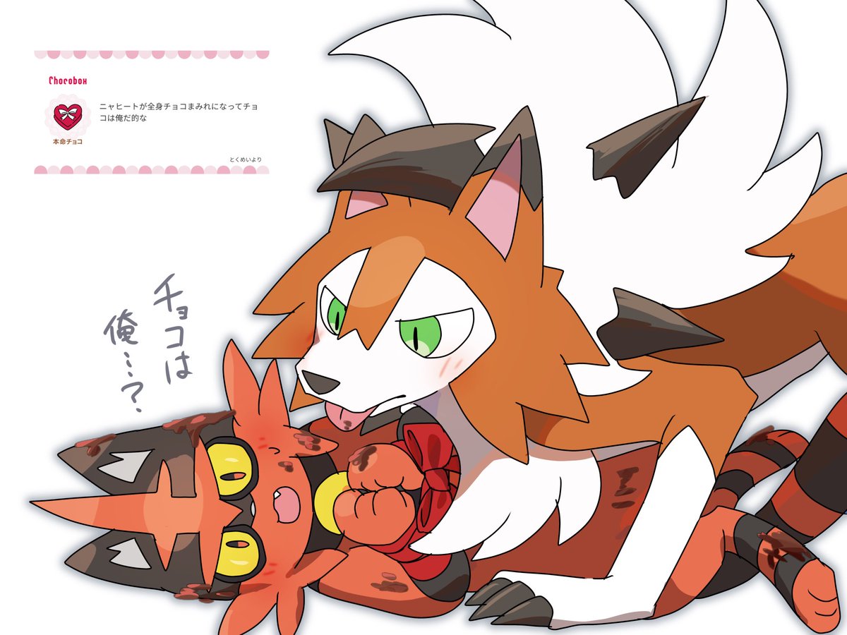 チョコありがとう🍫のルガニャヒ④
chocobox.me/c/MjI0NjAyNA==