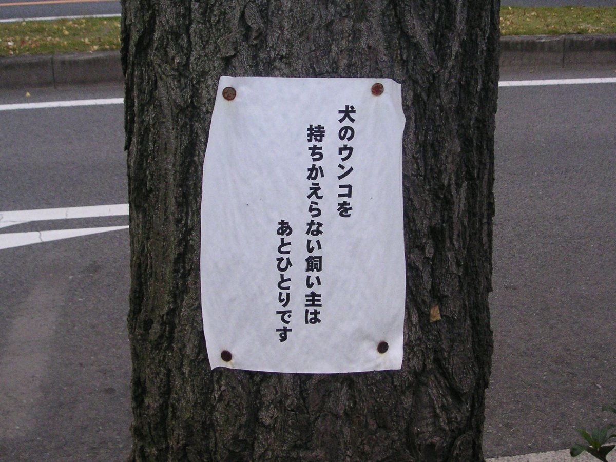 心理戦に持ちこむ作戦w