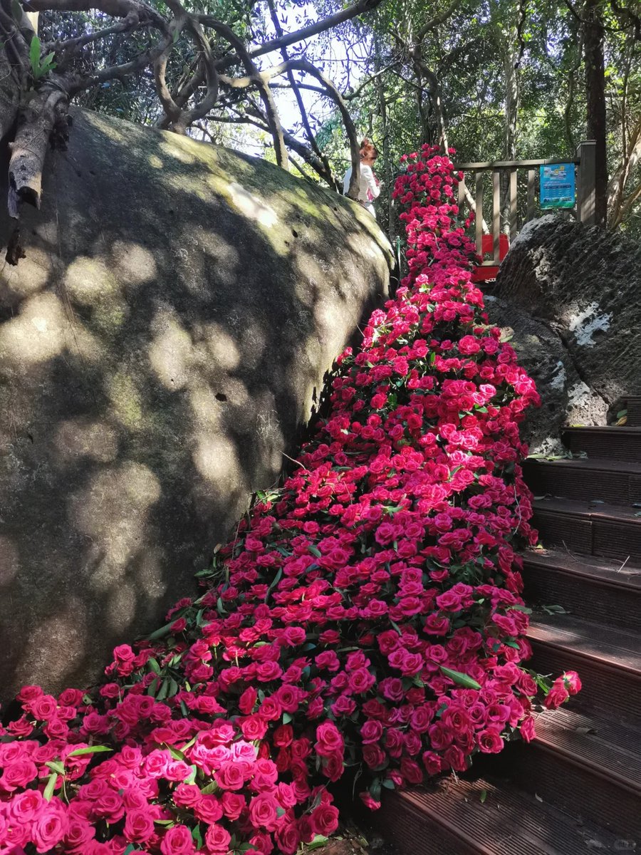 Hi Baoting tweet media