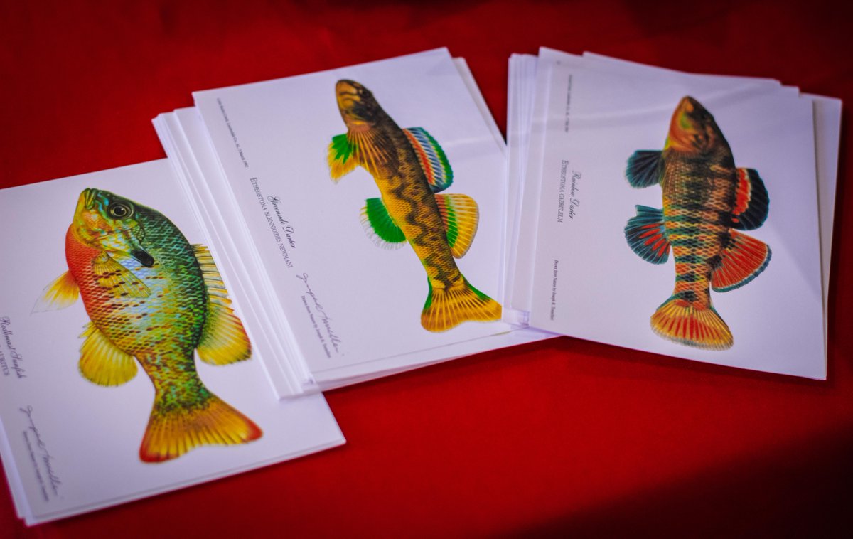 Alabama Museum of Natural History tweet media