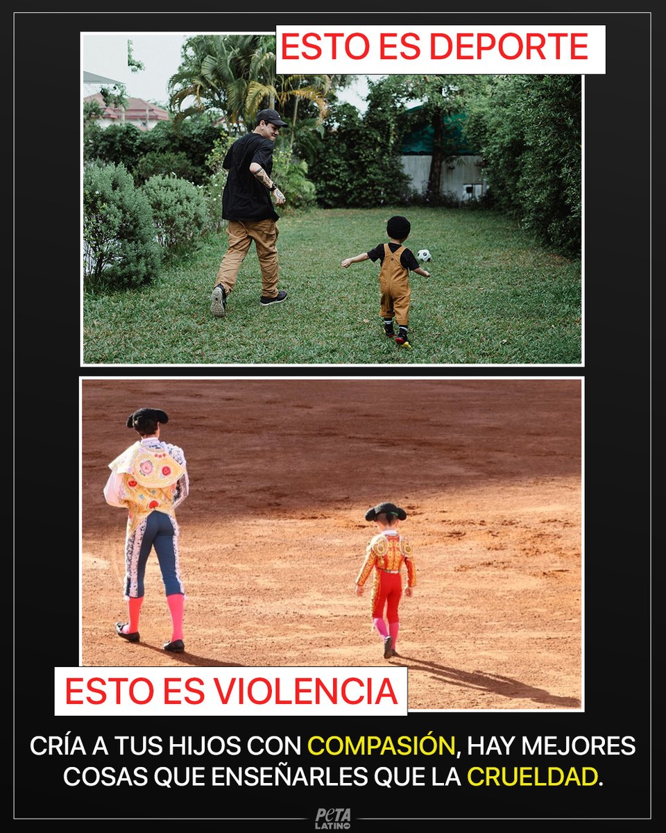 Que tu legado promueva la bondad y no la crueldad. ⚽🐂👪❤️