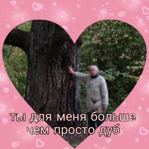 Мо Жань Чу Ваньнину: