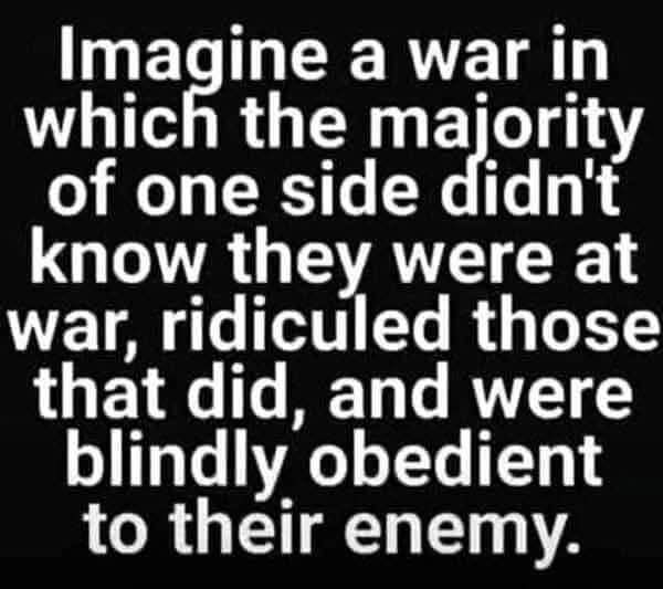 Bryce Wade tweet media