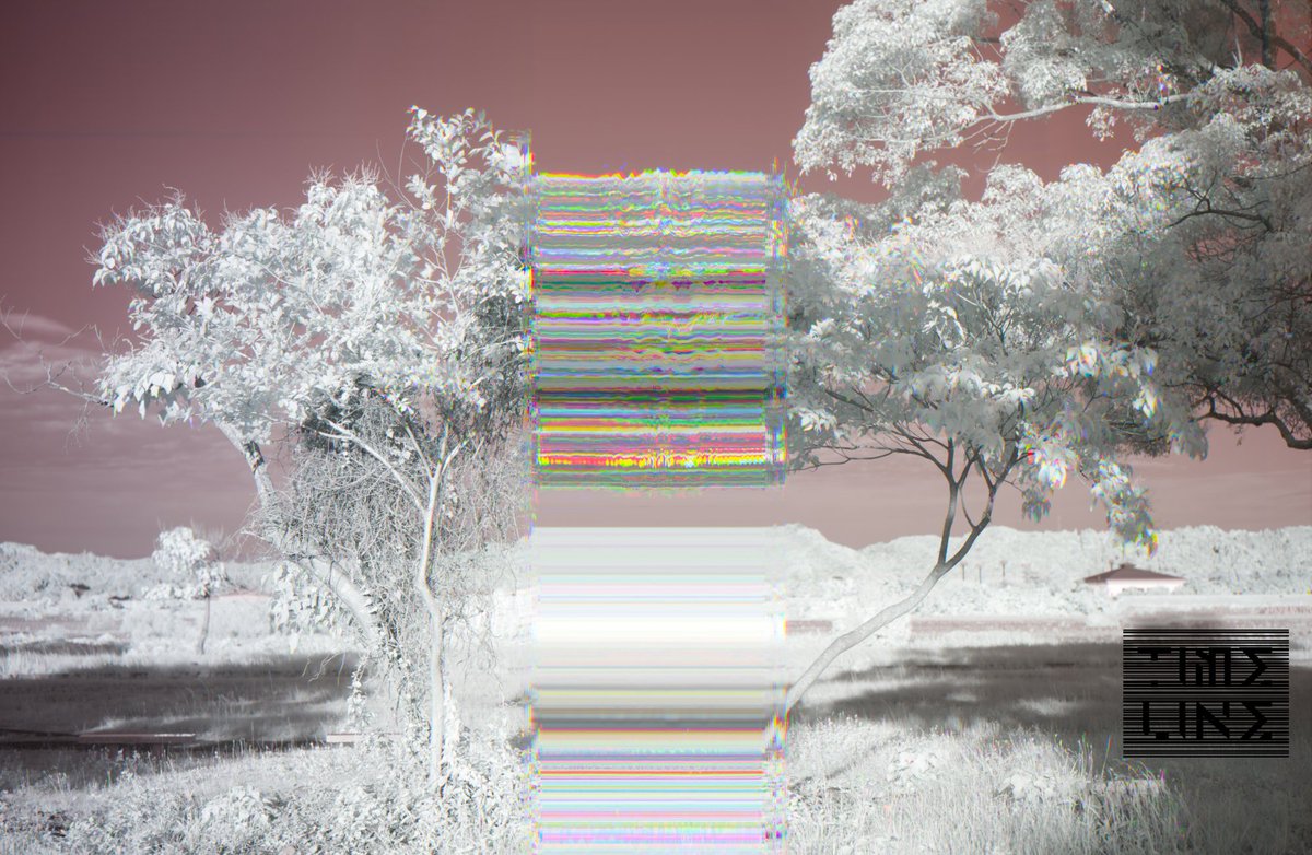 機械(カメラ)と人の視覚の境界を探る活動をしています。

その活動のため、カメラやレンズ、プログラムを自作したもので写真製作をしています。カメラに私のロジックを加えることで、「私の目」としての機能・役割を与えています。
#知名度を上げたいので拡散してください