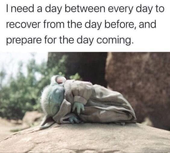 Chronic Pain tweet media