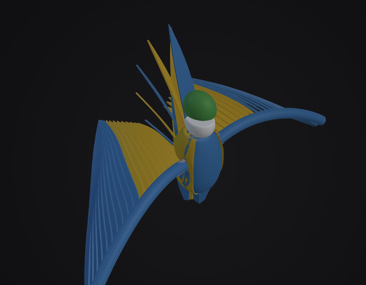 AliGTheOtherOne's tweet photo. I've been using various 3D modeling AI apps and got really excited when I saw this, so I upgraded to Ultra and asked Deep Think to create a printable model for a Macaw with this detailed sketch.

These are the masterpieces it has managed to produce so far with hours of iterations.

Far from what I was hoping and what the video makes you believe it can do.
