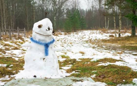 Apple Grove Elementary School tweet media