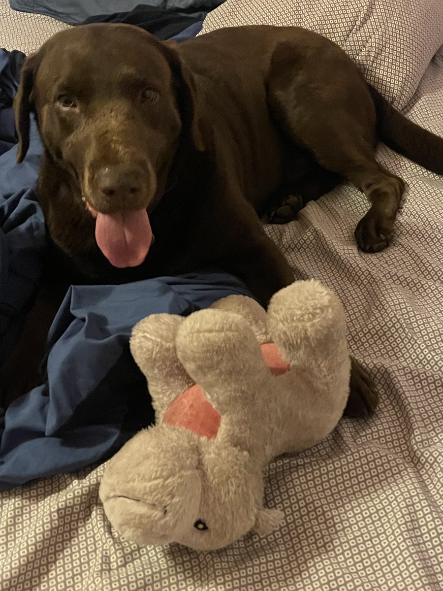 Babysitting the fur-ball and his new friend.