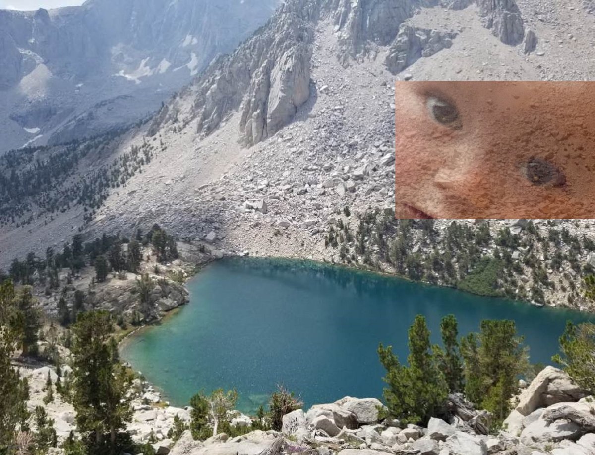 katjainstitute.bandcamp.com/album/devoutne…
thealexjonesstore.com/products/alex-…