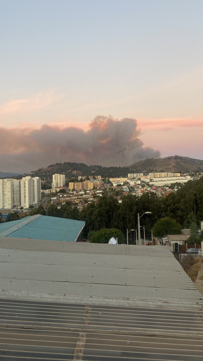 andsoljb's tweet photo. 20:45 hrs incendio forestal concon sector Tabolango #Incendioforestal #quintaregion #concon #VinadelMar https://t.co/ipBfzQk4QC