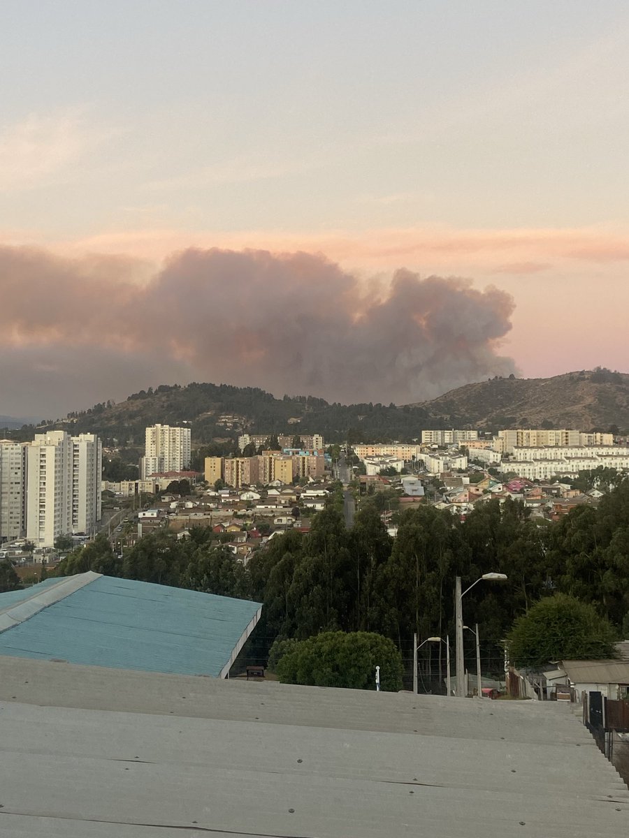 andsoljb's tweet photo. 20:45 hrs incendio forestal concon sector Tabolango #Incendioforestal #quintaregion #concon #VinadelMar https://t.co/ipBfzQk4QC