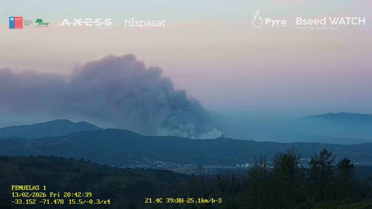 Pyrofire tweet media