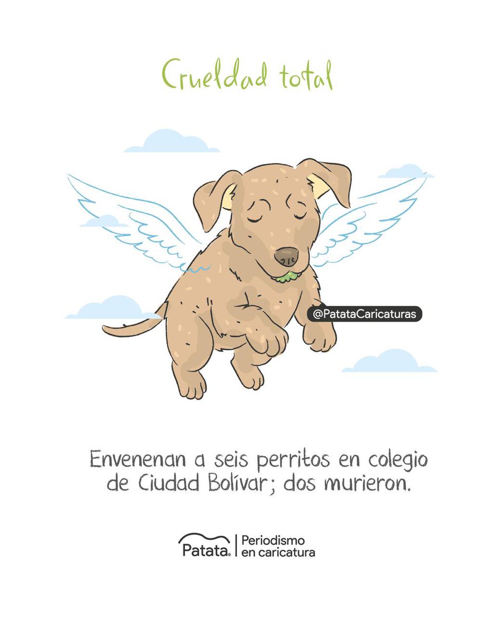 🐾💔 Envenenan a perritos en un colegio de Ciudad Bolívar, Bogotá. 
🧵