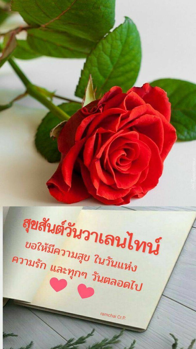 SW7711534652404's tweet photo. Happy Valentine day https://t.co/vwtdN3uiTl