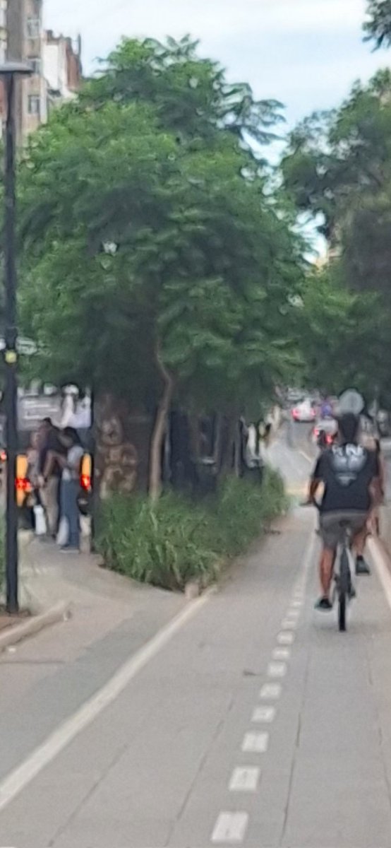 <a href="/Quelindocba/">Quelindanuevacba</a> <a href="/EugeGordillo/">EugeGordillo 💜75% Cordoba</a> <a href="/MuniCba/">Municipalidad de Córdoba</a> <a href="/MartinLlaryora/">Martín Llaryora</a> <a href="/siciliano/">Marialisa Siciliano</a> Hay muchos arrancados y tirados y faltan los habitantes y los yuyos q con esta lluvia es una selva!