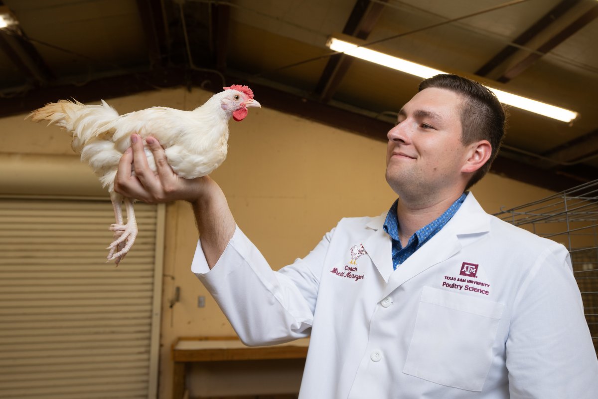 TAMU College of Agriculture & Life Sciences 👍 tweet media