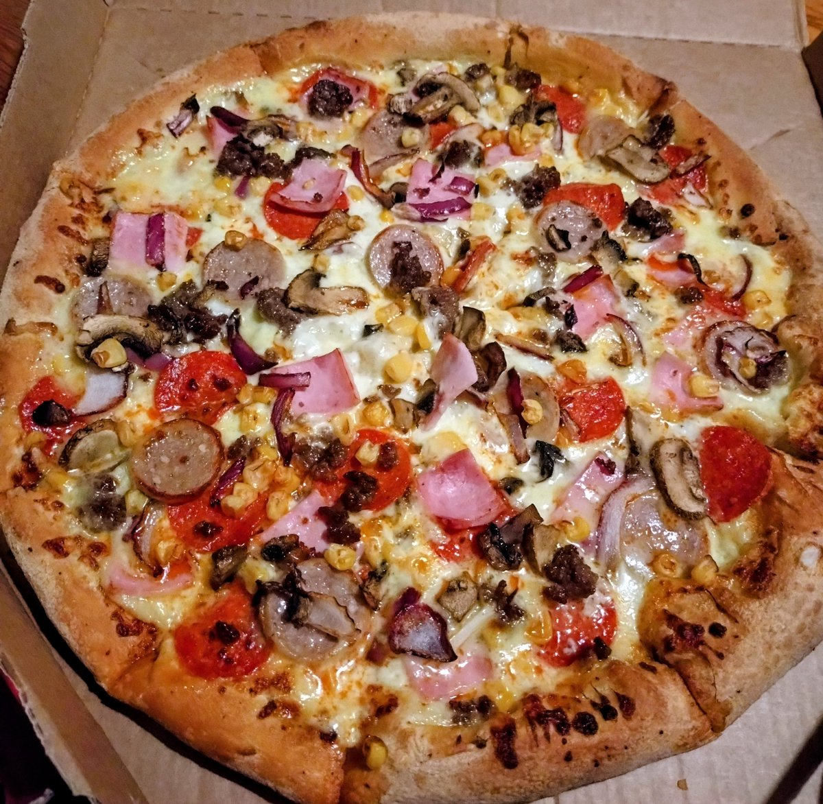 𝐖𝐮𝐫𝐳𝐞𝐥 (𝐒𝐢𝐥𝐥𝐢𝐮𝐬 𝐒𝐨𝐝𝐮𝐬) tweet media