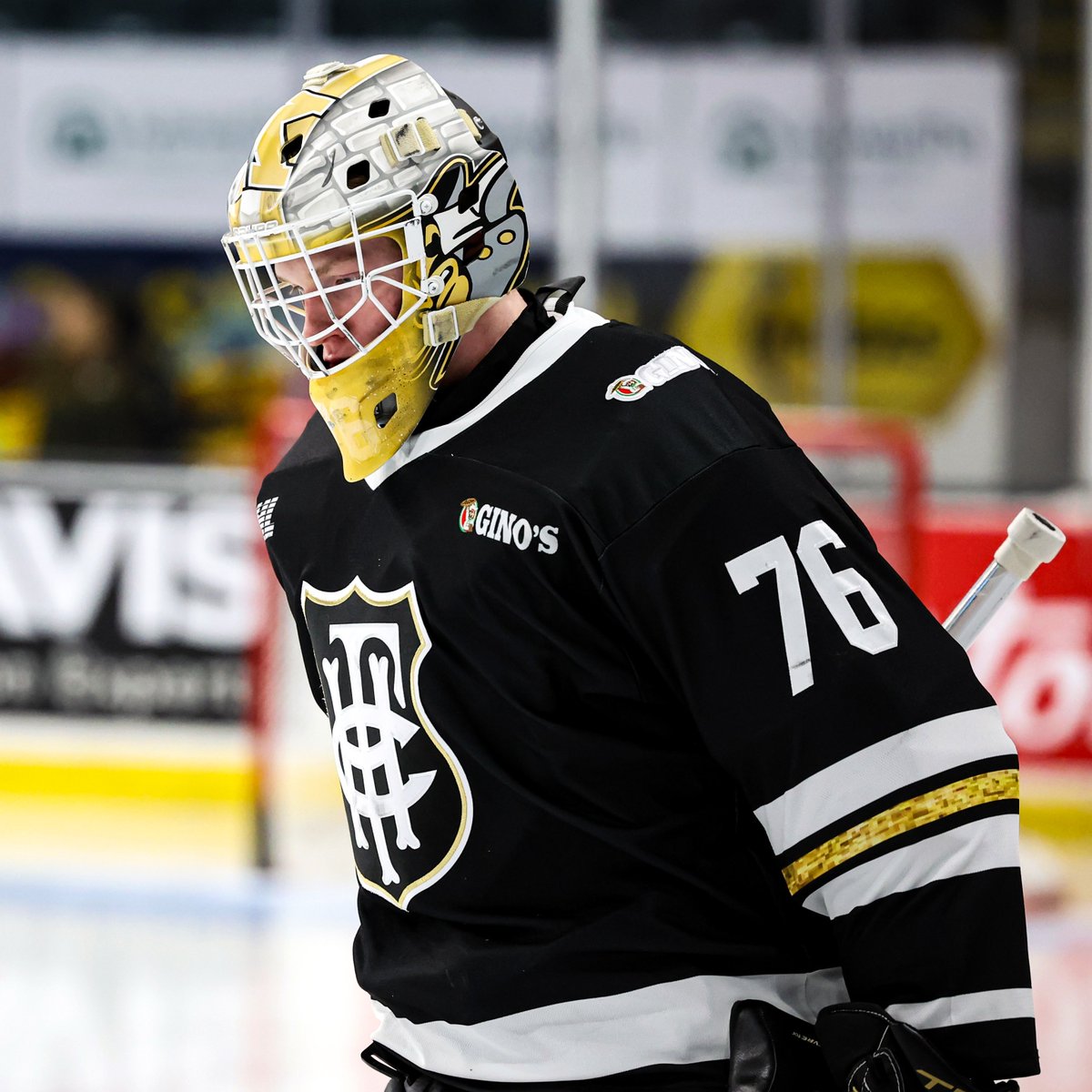 Kingston Frontenacs tweet media