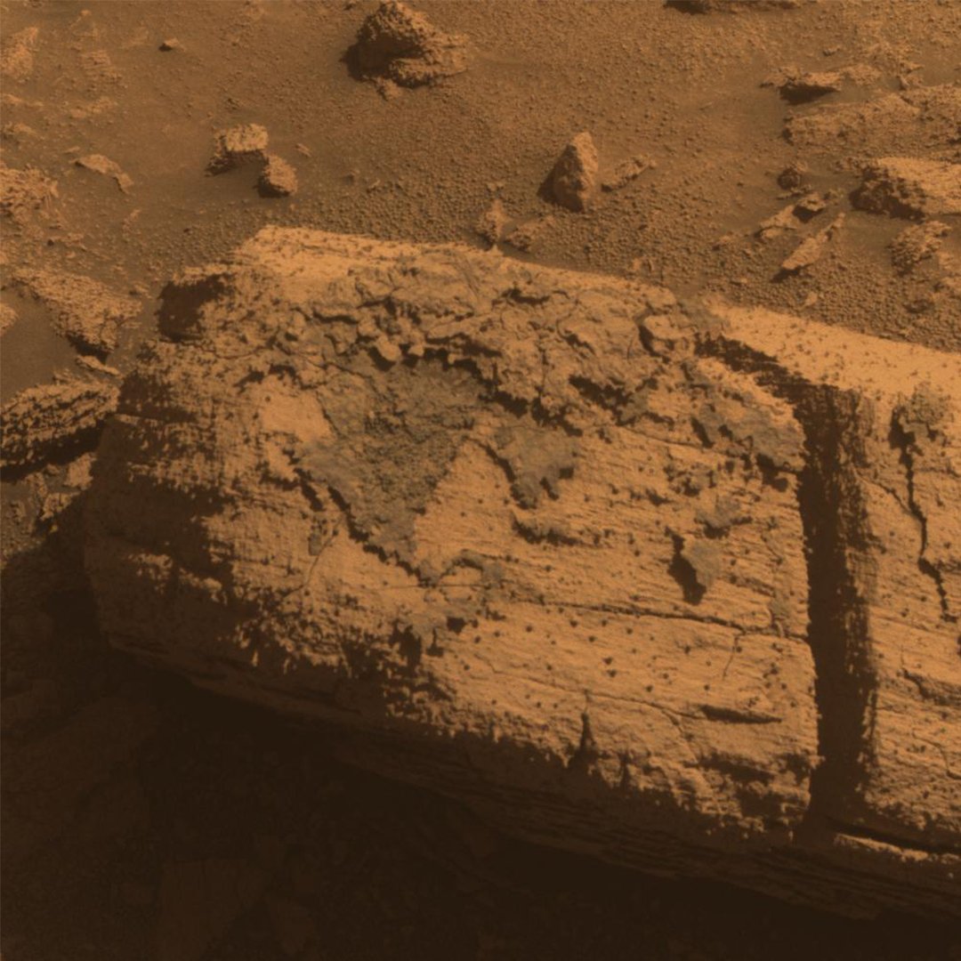 Happy Valentine’s Day! Let’s celebrate with some cosmic flowers, candy, and chocolate 💝