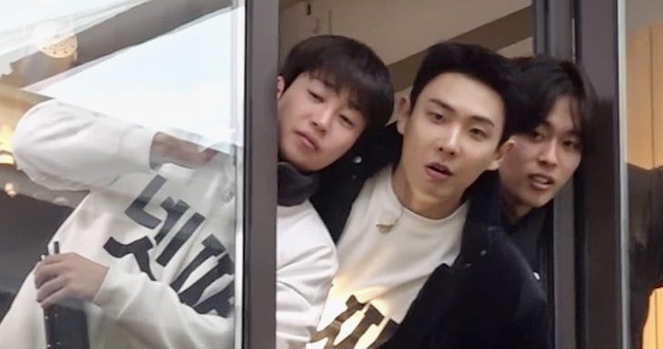 빼꼼 강아디들💛💜🩵