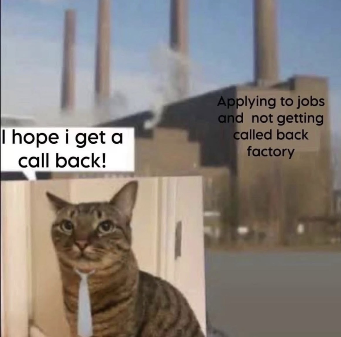 Respectful Memes (@respectfulmemes) on Twitter photo 