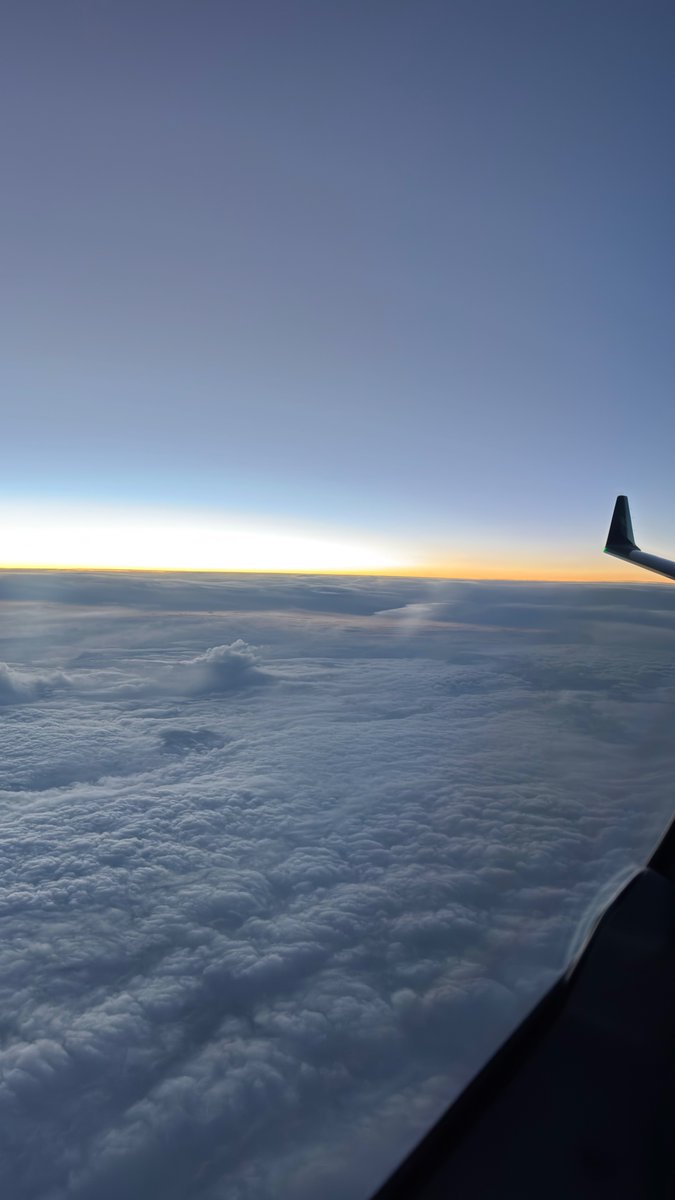 Gauthier ✈️✈️ tweet media