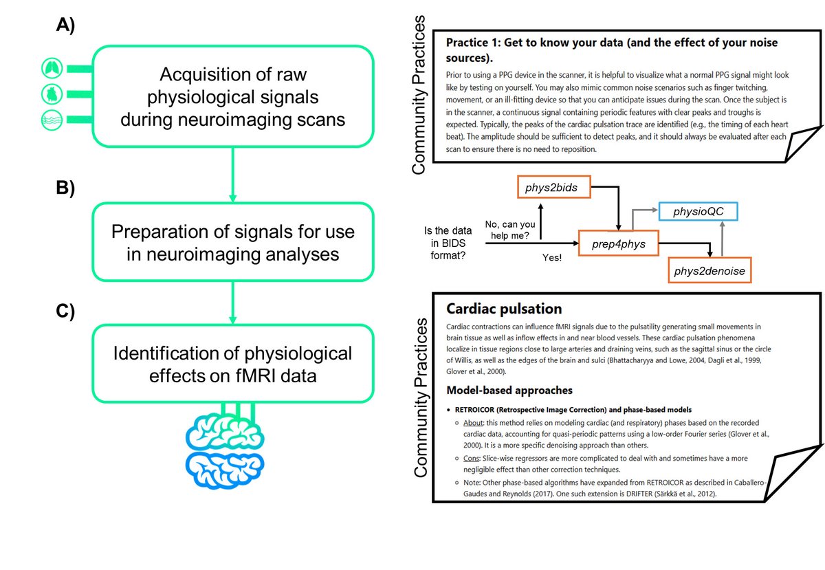 ApertureOHBM's tweet photo. Goodale and Esteves et al. outline the Physiopy Community's approach to developing recommended practices for physiological data acquisition, processing, and usage in neuroimaging: https://t.co/X6QsQ93CvI
@OhbmOpen @OHBM
#OpenDatasets #SpecialIssue https://t.co/lYaMWhPMyo