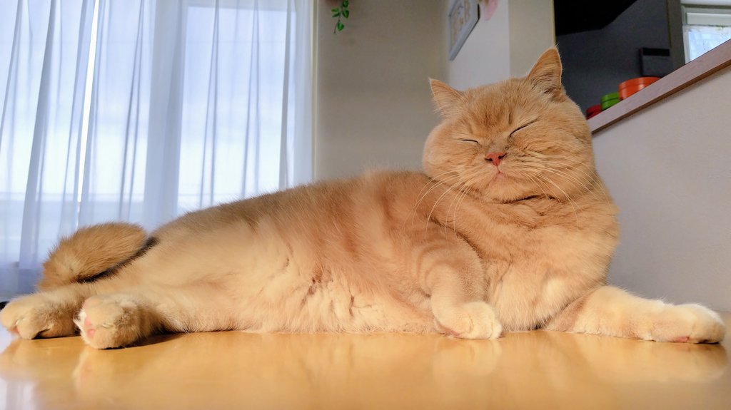 セクスィ～♡🏝️👙