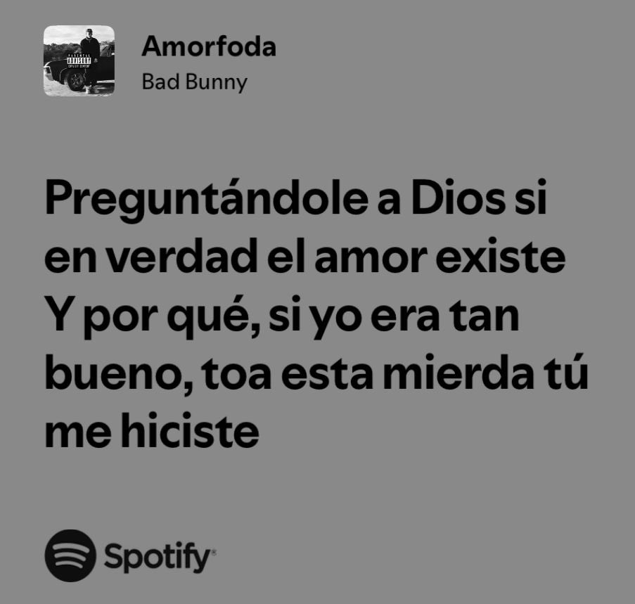 bad bunny / amorfoda