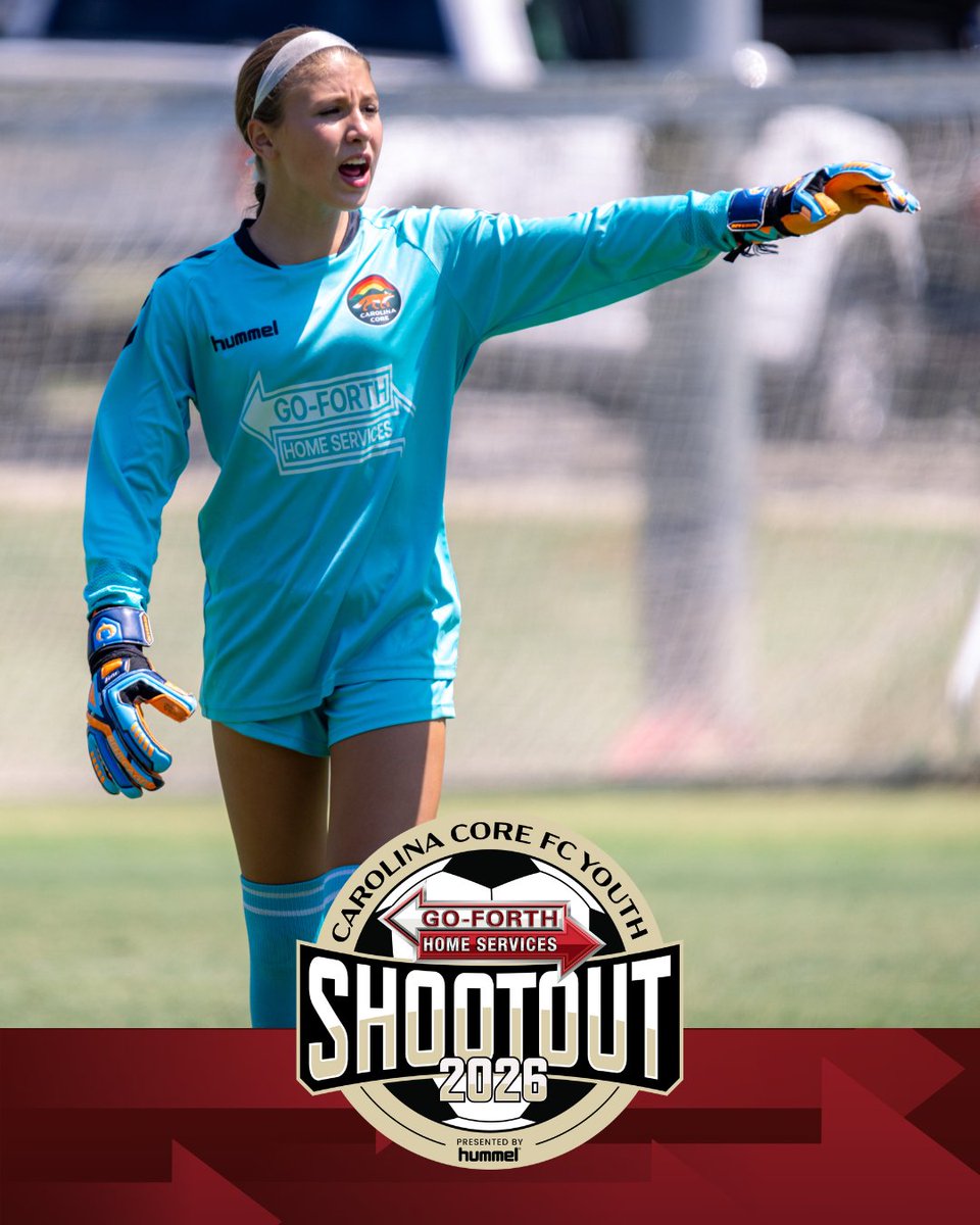 Go-Forth Pest Control tweet media