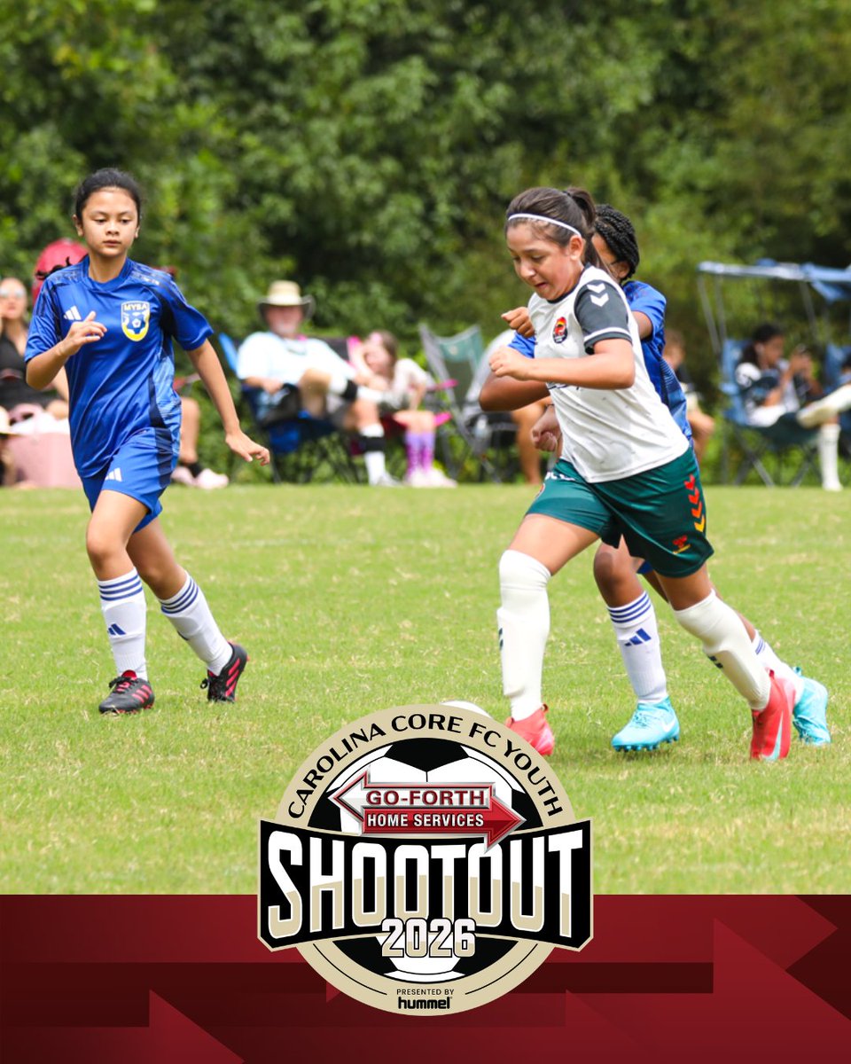 Go-Forth Pest Control tweet media