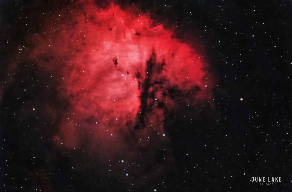 David Warren tweet media