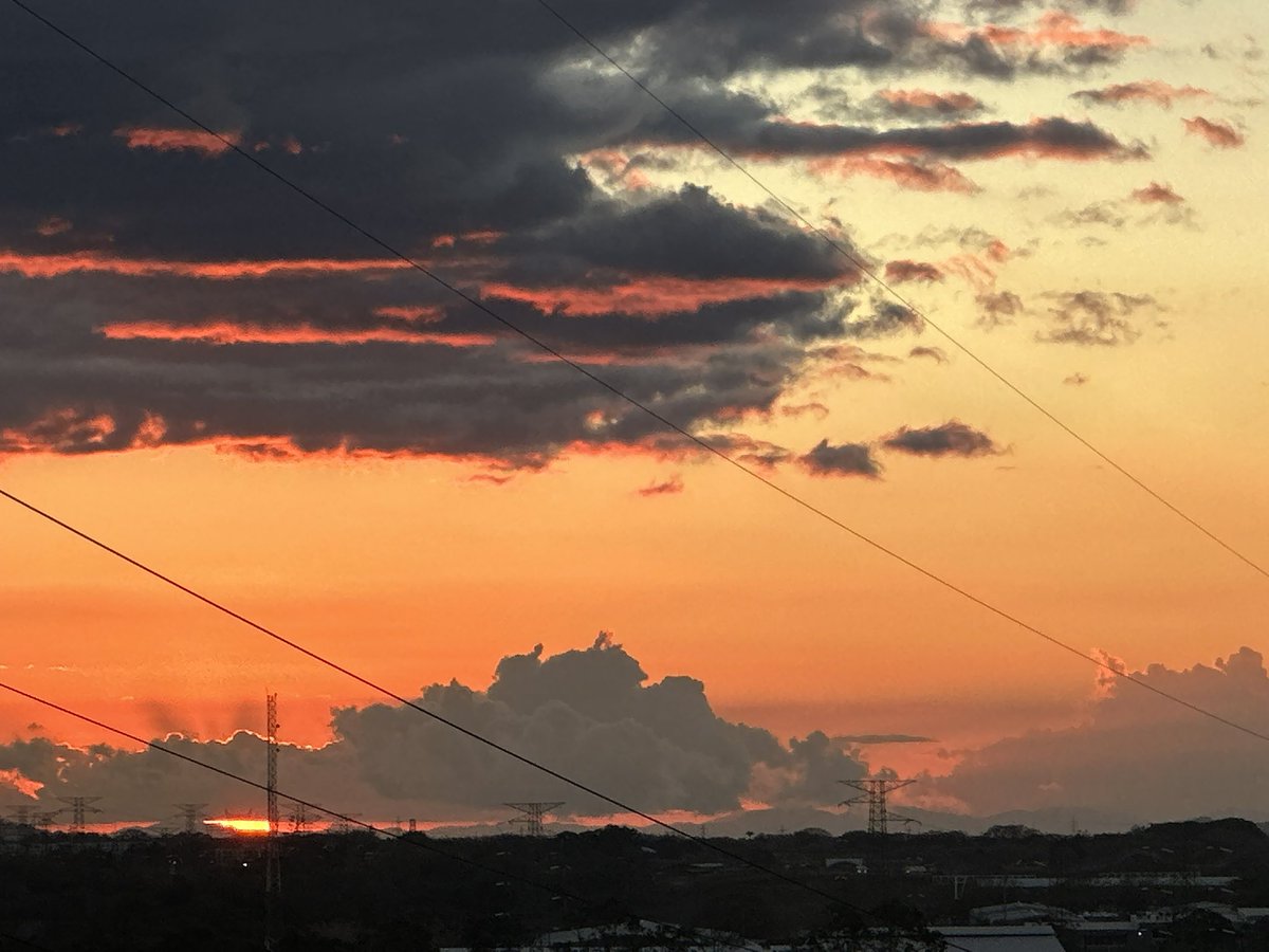 Hoy es viernes y yo también #dijoSofi