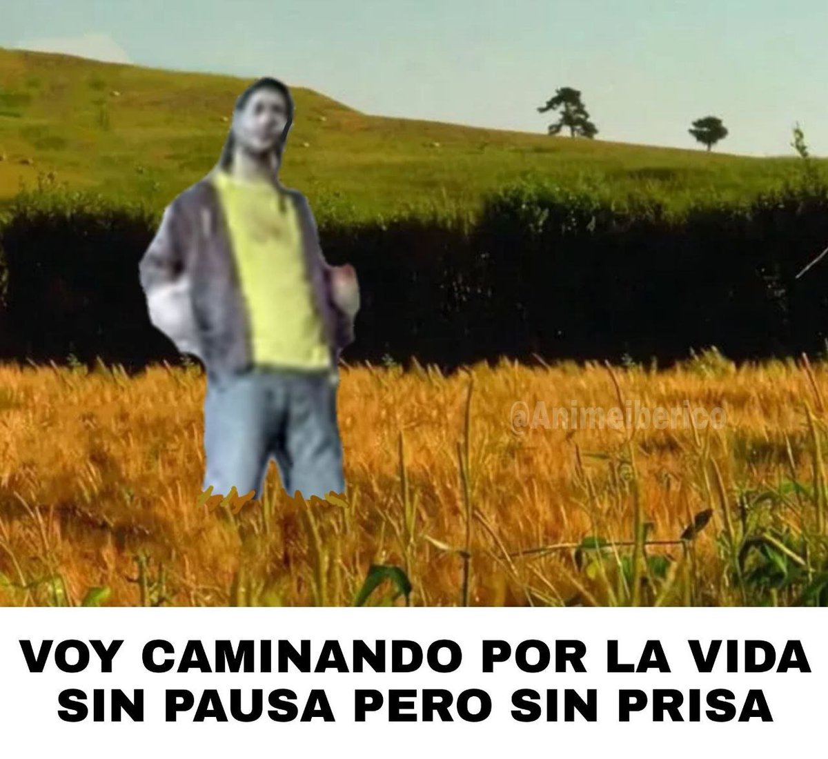 ANIME IBÉRICO (@animeiberico) on Twitter photo 