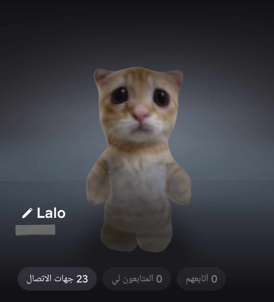 بوسي tweet media