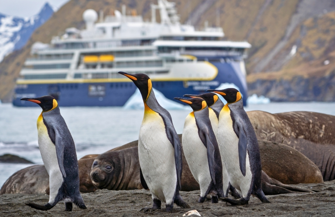 Lindblad Expeditions tweet media