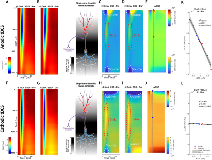 Brain Stimulation tweet media