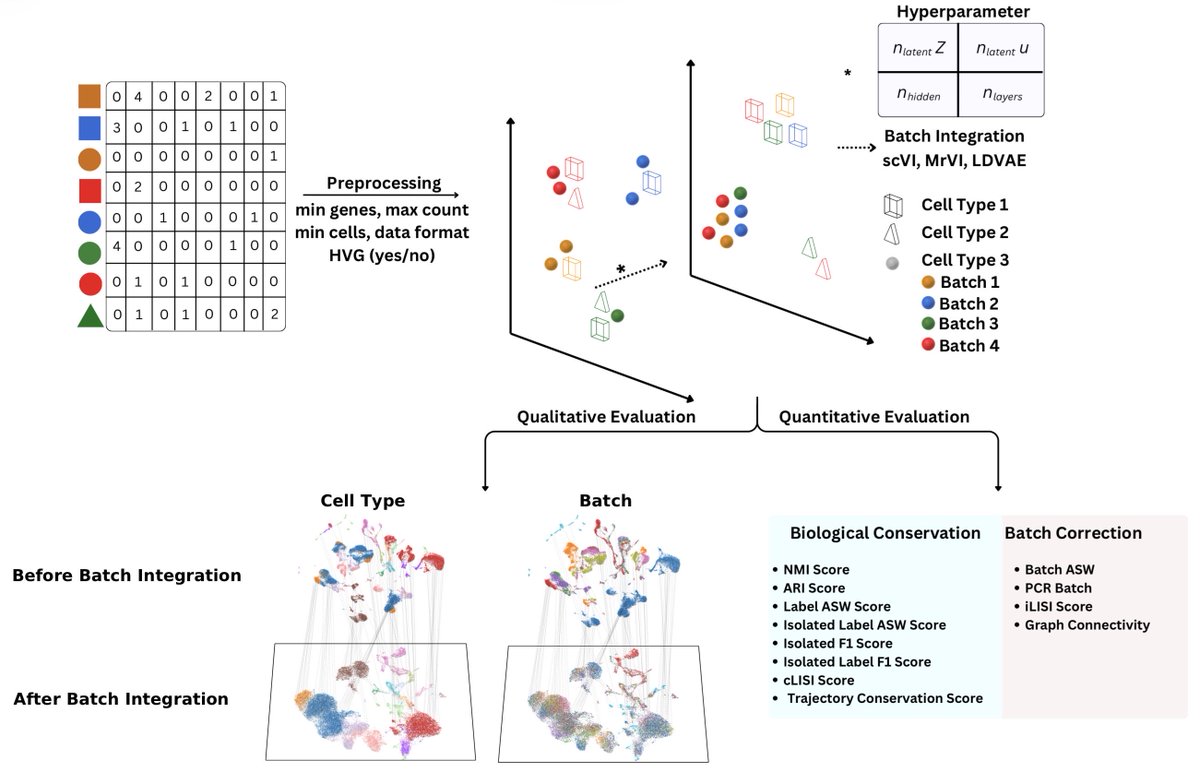 antisense. tweet media