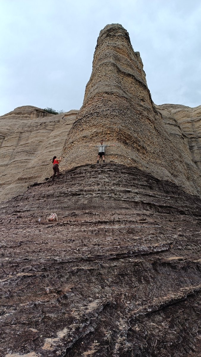 Igor Pedroza tweet media