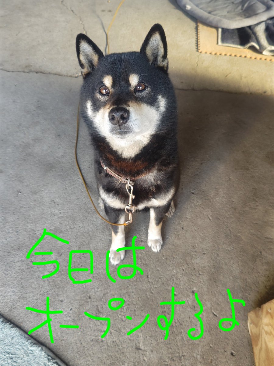 益子焼 木村製陶公式アカウント tweet media