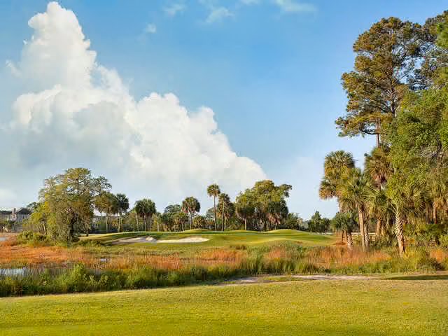 Tee Times USA tweet media