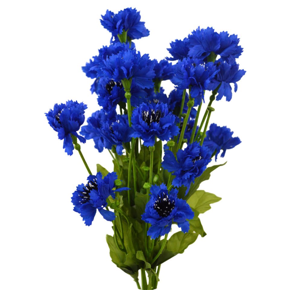 Para <a href="/CH4INXXD0G/">𝒳ꭺꮩꭼꭱ</a> 

Junto a la carta, hay un ramo de un ramo de Aciano azul, que simboliza la gratitud, la esperanza, la calma y los buenos deseos.