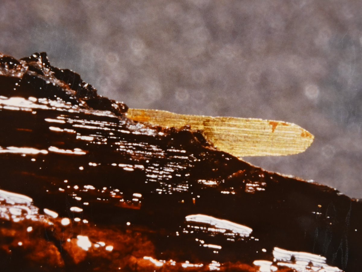 出土鉄製品の保存⑧－象嵌－ 象嵌は素地に材質の異なる材料を嵌めて