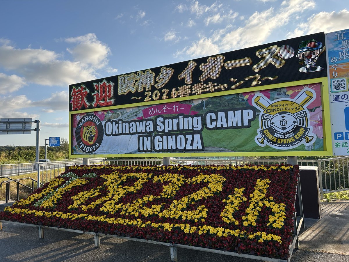 ht92nph14's tweet photo. Hanshin Tigers Spring Camp in Okinawa. https://t.co/LzQevipgDD
