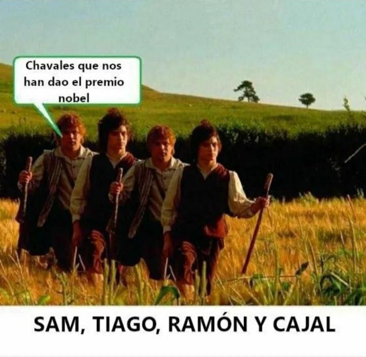 Tabla Sunset🪩 (@memestablita) on Twitter photo 